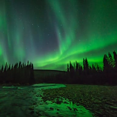 Autumn Mushing Adventure