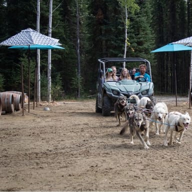 Summer Kennel Tour and Mushing Demonstration