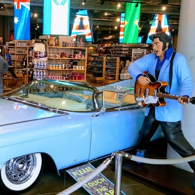 Hollywood and Beverly Hills Tour