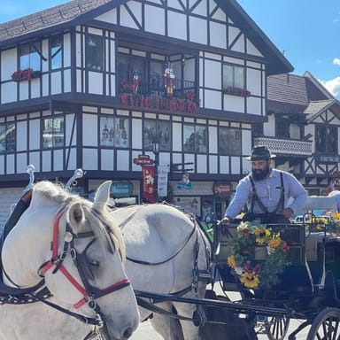 Escape to Bavaria: Scenic Adventure to Leavenworth from Seattle