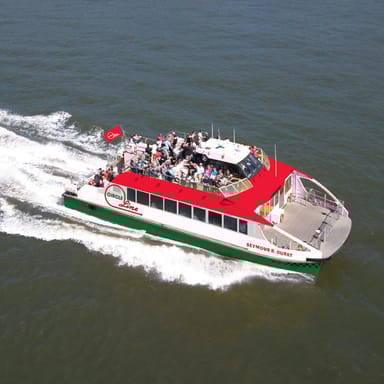 Express Statue of Liberty Cruise