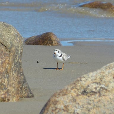Little Compton Beaches and Hideaway Bike tour