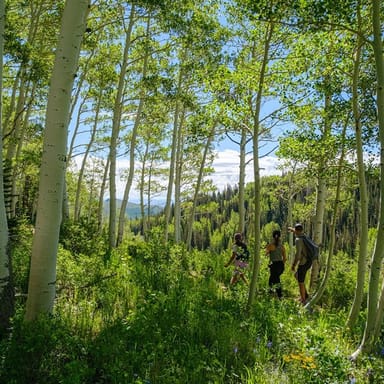 Local Park City Hiking Tour