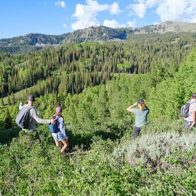 Local Park City Hiking Tour