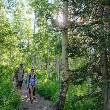 Local Park City Hiking Tour