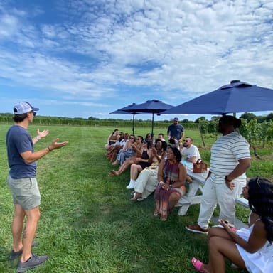 Long Island Wine Tour with Lunch