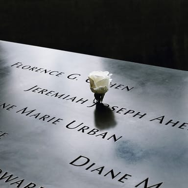  Lower Manhattan and the 9/11 Memorial Walking Tour