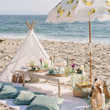 Luxury Beach Picnic Experience