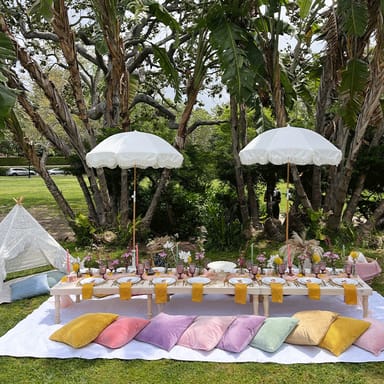 Luxury Park Picnic Experience