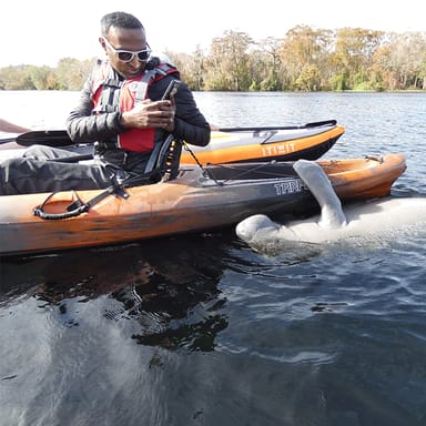 Manatee Discovery Kayak Tour