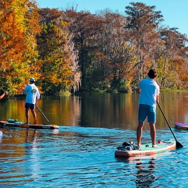 Manatees and Monkeys Silver Springs Paddleboard Adventure