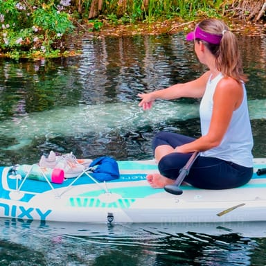 Manatees and Monkeys Silver Springs Paddleboard Adventure