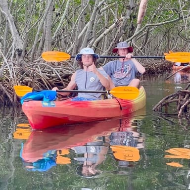 Mangrove Tunnel Tandem Kayak Adventure
