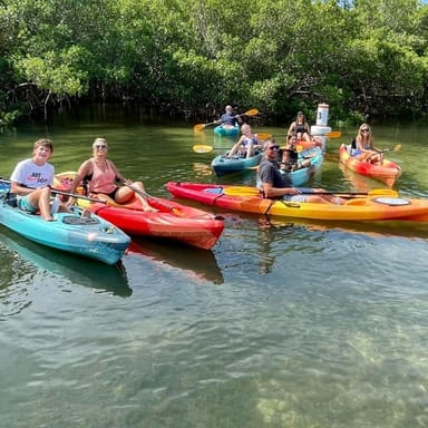 Mangrove Tunnel Kayak Adventure