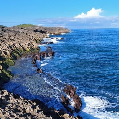 Private Rainforest Tour and Mar Chiquita Beach Hike