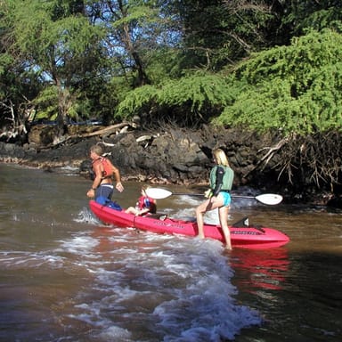 Turtle Reef Kayak & Snorkel Tour