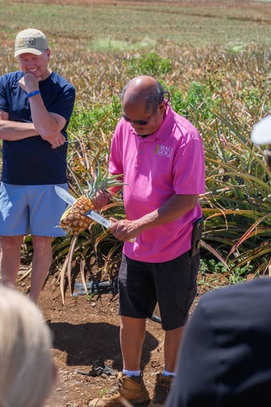 Pineapple Farm Tour and Hands-On Planting Experience