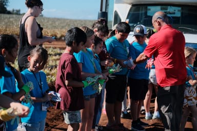 Pineapple Farm Tour and Hands-On Planting Experience
