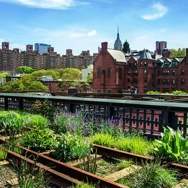 Chelsea Market, High Line, and Meatpacking District Walking Tour