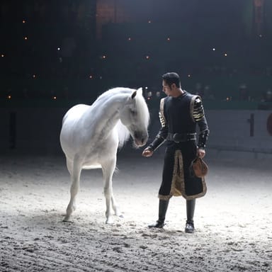Medieval Times Orlando Dinner and Tournament