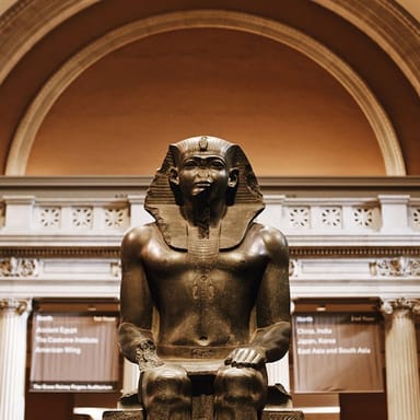 VIP Guided Tour of THE MET with Priority Access