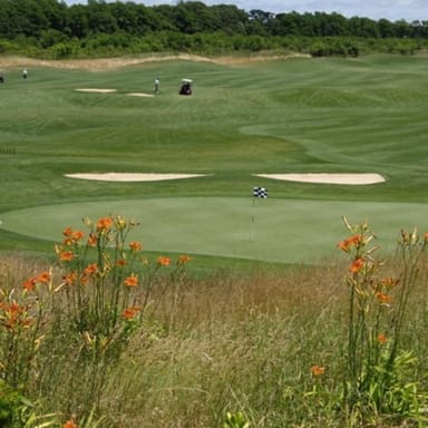 Golf Lesson with a PGA Pro - Mill Pond Golf Course