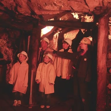 Rocky Mountain Historic Mine Tour with Gold Panning