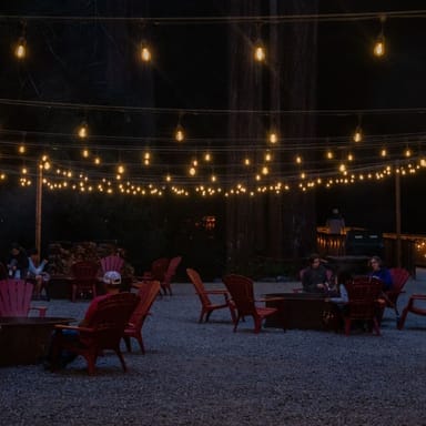 Enchanting Moonlight Railbike Ride to the Glen Blair Bar