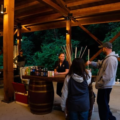 Enchanting Moonlight Railbike Ride to the Glen Blair Bar