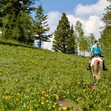 Moose Meadow Breakfast Horseback Ride