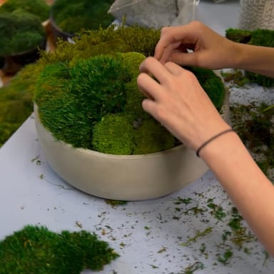 Moss and Sip: Create Your Own Moss Bowl Workshop