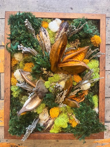 Create Your Own Preserved Moss Art Workshop