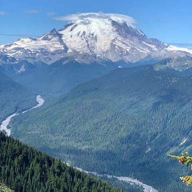 Explore Mount Rainier on Guided Tour