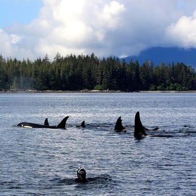 Mountain Point Snorkeling Adventure