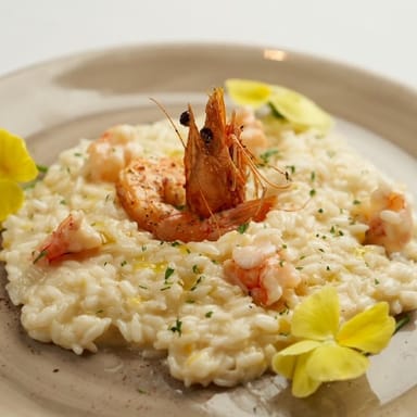 The New York City Dining Collection