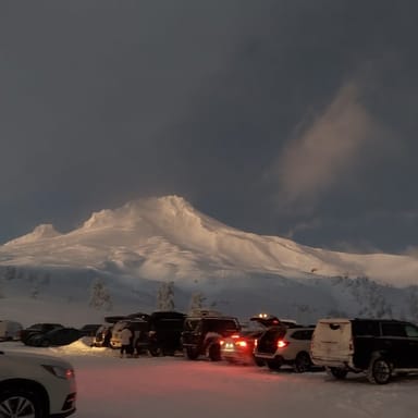 Mt. Hood Waterfall and Wine Tour