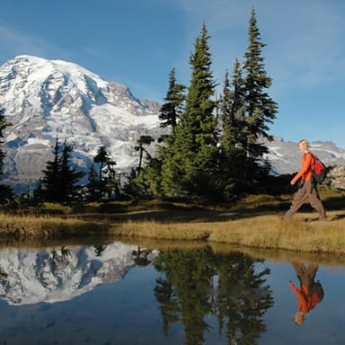 Explore Mt. Rainier