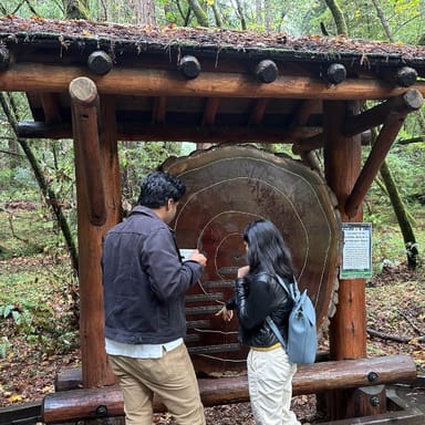 Muir Woods and Sausalito Tour