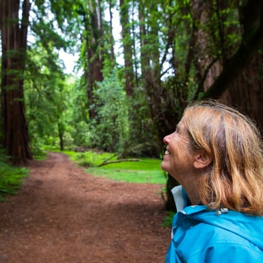 Muir Woods and Sausalito Tour