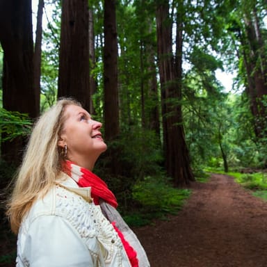 Muir Woods and Sausalito Tour