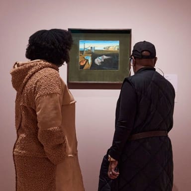 Admission to The Museum of Modern Art in New York City