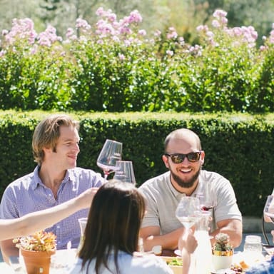 Half-Day Napa Valley Wine and E-Bike Tour