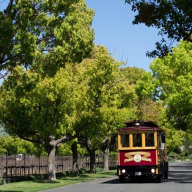 Napa Valley Wine Trolley Tour and Lunch for Two