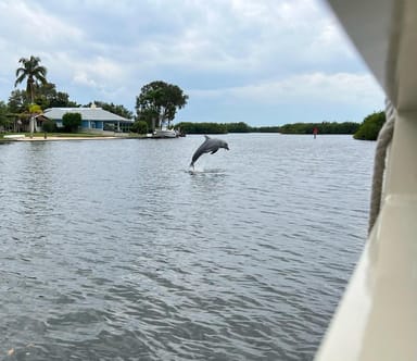 Dolphin and Wildlife Cruise in Cocoa Beach