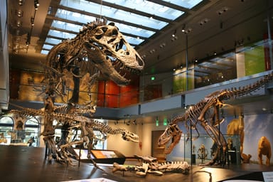Go City | Los Angeles Essentials Pass - 3 Attractions