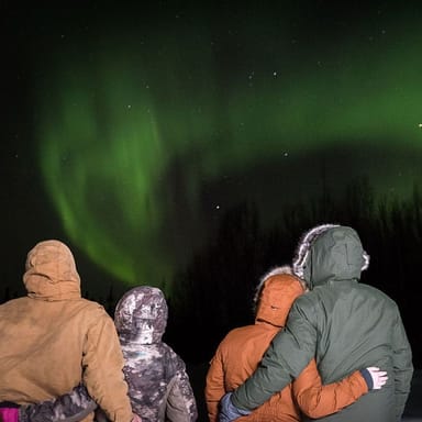 Private Northern Lights Dogsled Tour