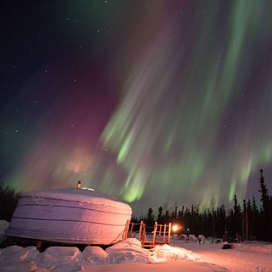 Private Northern Lights Dogsled Tour
