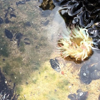 Northern Oregon Coast Tour