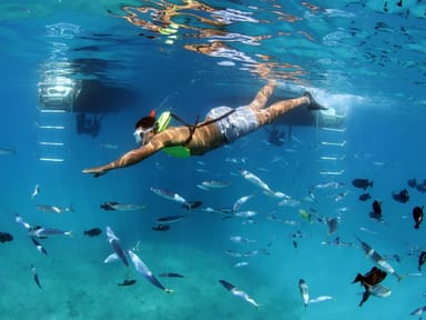 Sunset Snorkeling and All-Inclusive Dinner Cruise for Two