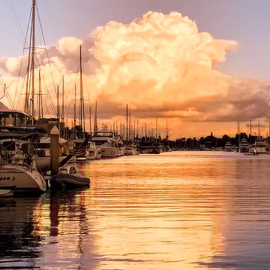 Soothing Tea Ceremony Cruise